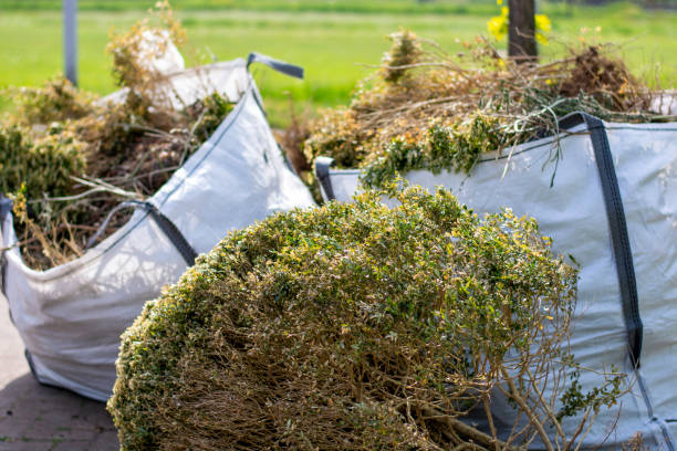 Best Junk Removal Near Me  in Wellsburg, WV